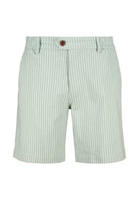 ALIFE AND KICKIN® - MarcoAK Z Shorts - 5140  FRESH MINT