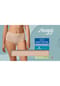 sloggi Go Daily Cotton Panty , 3er-Pack, für Damen Bild 22