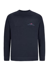 JAN VANDERSTORM - Pullover ALBREKT - dunkelgrau