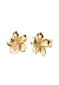 elli. - Ohrringe Frangipani Blüte Blume Filigran 925 Silber - Gold
