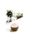 mulex® Gläser-Set Riffle Cup Hitzebeständig 350 ml Bild 9