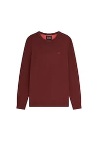 SCOTCH & SODA - Herren Pullover - Core, Viskose Pullover, einfarbig - Beige