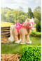 BABY born® My Cute Horse Bild 10
