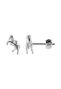 Adelia's - Adelia's Mädchen Ohrstecker aus rhodiniertem 925 Sterling Silber - silber