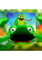 HUCH! Limpopo Bild 10