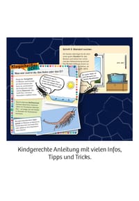 Bild 7