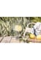 ZWIESEL GLAS Weinglas "Vivid Senses - fruchtig & fein" Vivid Senses Bild 7