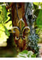 Adelia's World of the Vikings Mittelalter Anhänger / Amulett Fleur de Lys Bild 3