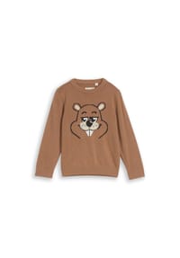 TOM TAILOR - Pullover, Baumwolle, für Kinder - 40888 SMOKED WOOD
