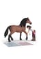 schleich® Pferdeklinik 42787 Bild 9