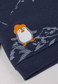 Produktbild von Steiff Sweatshirt POLAR FRIENDS Baby Boys Tobacco Brown Kaufen
