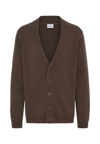 SOLID - Strickjacke RICK Cardigan - braun