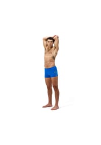 speedo® - Badepants HyperBoom Aquashort, chlorresistent für Herren - LAGOON BLUE/ALFALF