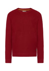 GLOBETROTTER - Pullover, Baumwolle, für Herren - 2 RED 19-1531 TCX