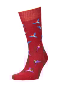 von Jungfeld - Socken, Papageien-Motiv, mittelhoch, für Herren - 0810 BORDEAUX