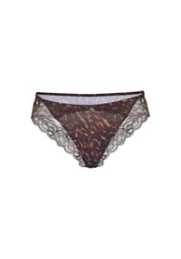JOOP! - Panty Intimate Apparel - DARK BROWN