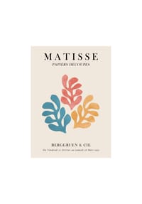  POSTER & FRAME® - Poster  Vitor Costa - Matisse floral Poster 3 - 30 x 40 cm