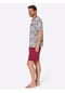 Witt Shortys Bild 12