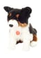 HERMANN Teddy COLLECTION® Plüschtier "Border Collie, sitzend", 30cm Bild 5