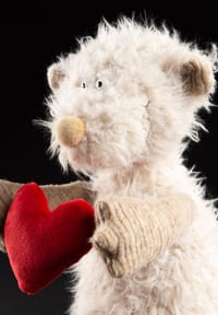 Bild 7