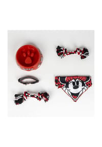 Disney - Disney Minnie Mouse Hunde-Willkommensset – 5-teilig mit Napf, - 