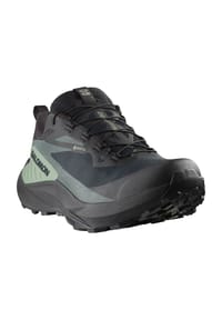 salomon - Trailrunning-Schuh GENESIS GORE-TEX - black/agave green/urban chic