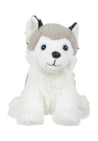 GALERIA - Plüschtier Husky - WEISS GRAU