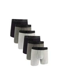 UNDER ARMOUR - Herren Boxershorts, 6er Pack - Performance Tech Boxer Briefs, Stretch, einfarbig - Blau/Grau