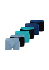 bruno banani - Retro Short / Pant 6er Pack Flowing - Cranberry