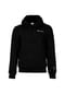 Champion® Herren Hoodie - Hooded Sweatshirt, Pullover, Kleines Logo, Kapuze, einfarbig Bild 1