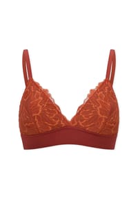 SCHIESSER - Bralette Unique Premium, Spitze, für Damen - 535 SIENA