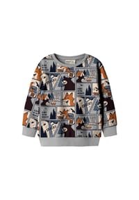 name it® - Pullover OSWALDY Sweatshirt - grau