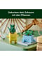 LEGO® Die Botanik-Kollektion - 10349 Botanicals Fröhliche Pflanzen Bild 18
