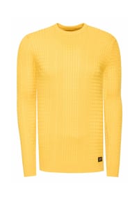 RUSTY NEAL® - Pullover mit modernem Strickmuster - Beige
