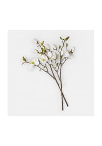 LOBERON - Deko-Blume 2er Set Aurélines creme - creme