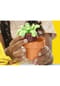 Play-Doh Knetset "Bunter Blumenspaß" Bild 23