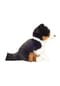 HERMANN Teddy COLLECTION® Plüschtier "Border Collie, sitzend", 30cm Bild 3