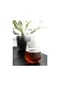 mulex® Gläser Trinkgläser Set geriffeltt 430ml Bild 9