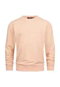 INDICODE - Sweatshirt Holt - Abyss