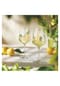 RITZENHOFF Glasset "Sommertau Limoncello", 2-teilig SOMMERSONETT Bild 2