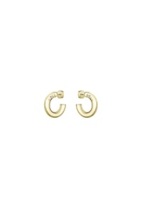 BOSS LIVE - Damen Creolen, Edelstahl - GOLD