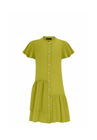 freshlions - Blusenkleid Jolin mit zarten Volantärmeln - light green