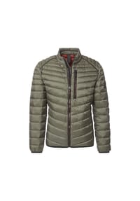 CASAMODA - Steppjacke, Stehkragen, für Herren - 336 GRUEN