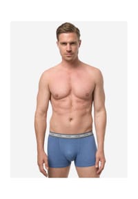 nur die - Retro Pants Boxer GOTS Organic Cotton - blau / blaumelange