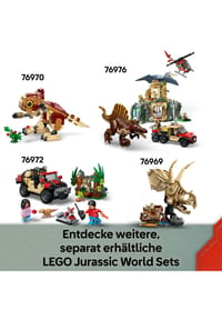 Bild 19