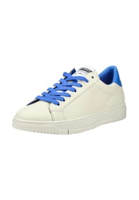 STEVE MADDEN - Leder Sneaker - Weiß/Blau