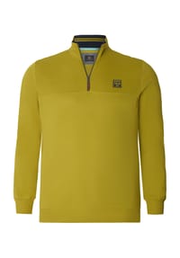JAN VANDERSTORM - Sweatshirt TIVAND - oliv