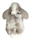 HERMANN Teddy COLLECTION® Ostern Kuscheltier "Widderkaninchen", 23cm Bild 3