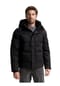 TOM TAILOR Puffer-Jacke, Stehkragen, für Herren Bild 16