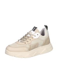 STEVE MADDEN - Leder Sneaker - Nude